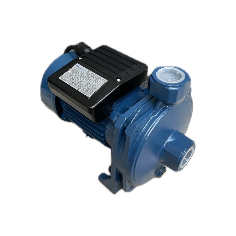 نیم اسب بشقابی