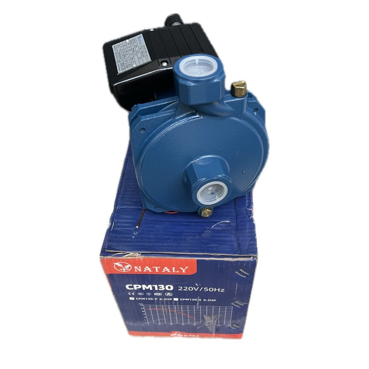 نیم اسب بشقابی ناتالی با جعبه