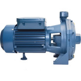 پمپ آب خانگی اسکواردی مدل IB210-P دو پروانه دو اسب